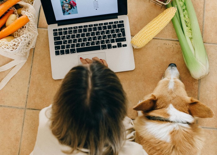 Top Web Design Trends To Boost Your Brand Identity In 2025 image
